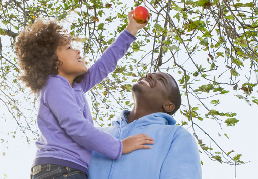 Girl and her dad picking an apple from a tree