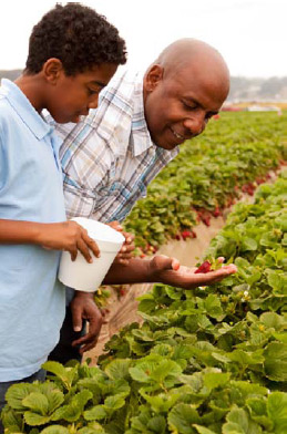 Parent and Child Gardening