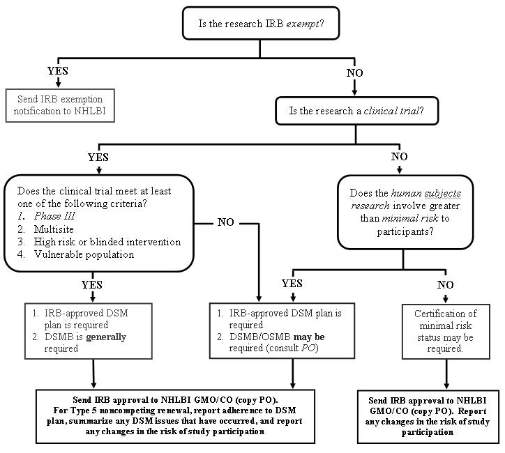 DSM Decision Flowchart