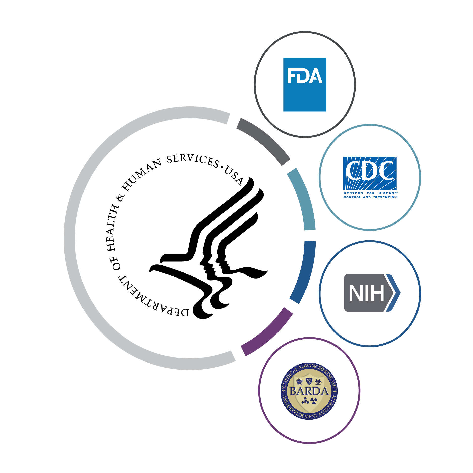 NHLBI's COVID-19 Research Strategy | NHLBI, NIH