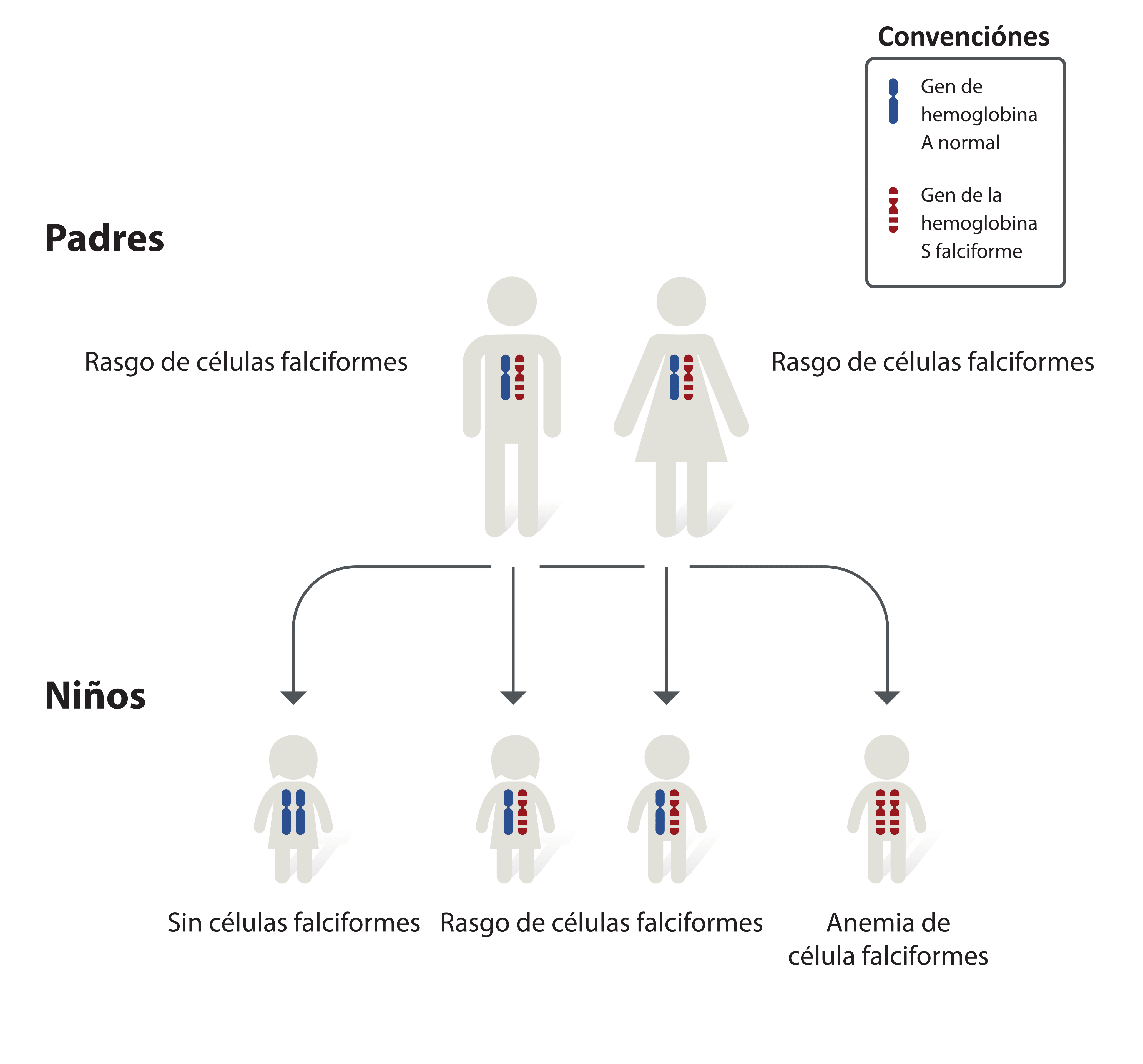 spanish sickle cell