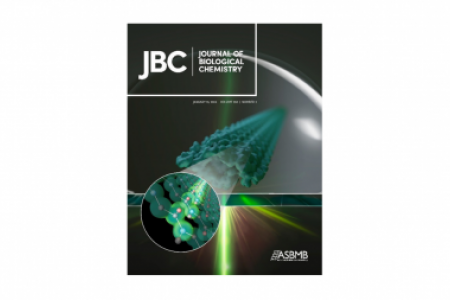 J. Biol. Chem. Cover