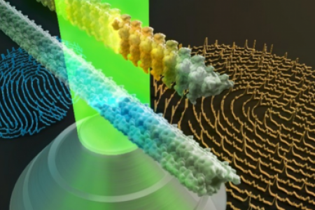 Raman fingerprints of amyloid structures