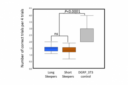 Memory defects in relation to sleep time