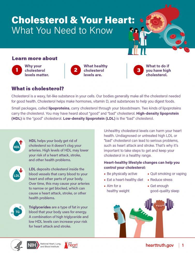 Cholesterol & Your Heart: What You Need To Know Fact Sheet | NHLBI, NIH