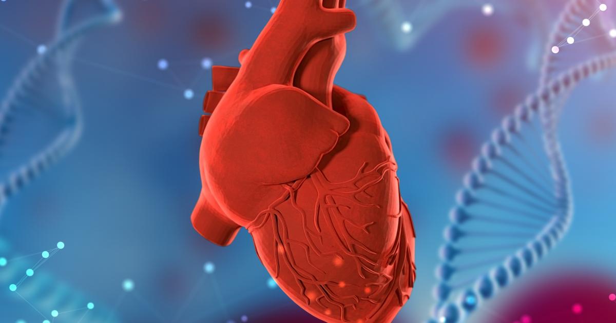 studying-age-related-changes-linked-to-heart-disease-nhlbi-nih